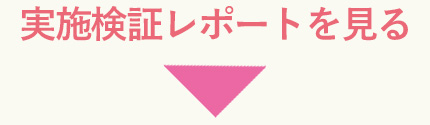実施検証レポートを見る